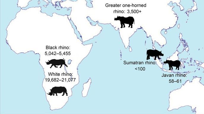 وحيد القرن RhinoPopulationMap2016_large